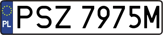 PSZ7975M