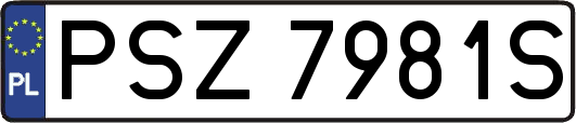 PSZ7981S