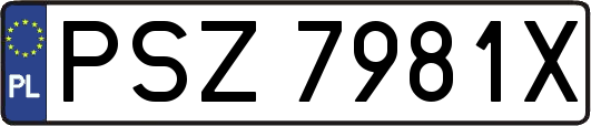 PSZ7981X