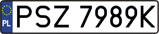 PSZ7989K