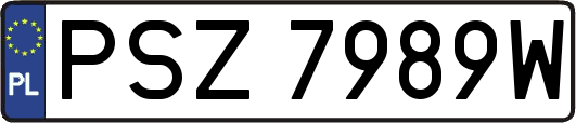 PSZ7989W