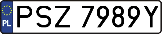 PSZ7989Y