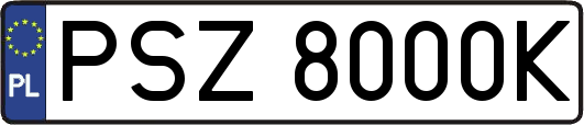 PSZ8000K