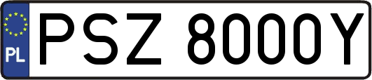PSZ8000Y