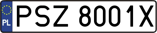 PSZ8001X