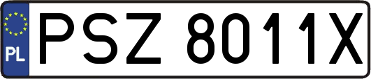 PSZ8011X