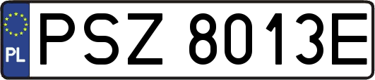 PSZ8013E