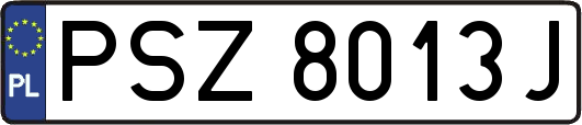 PSZ8013J