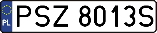 PSZ8013S