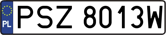 PSZ8013W