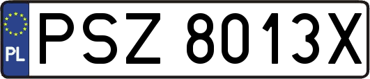 PSZ8013X