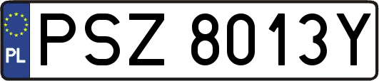 PSZ8013Y