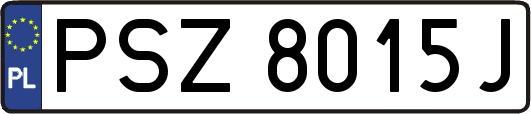 PSZ8015J