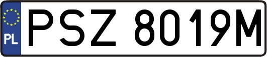 PSZ8019M