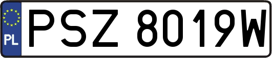 PSZ8019W