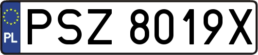 PSZ8019X