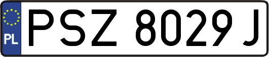 PSZ8029J