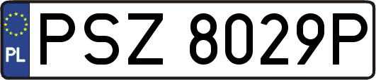 PSZ8029P