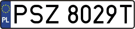 PSZ8029T