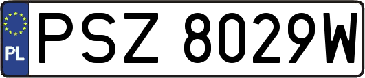 PSZ8029W