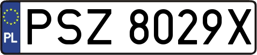 PSZ8029X