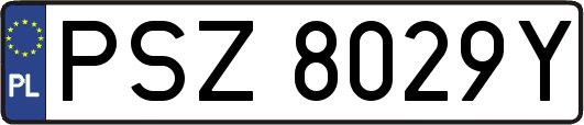 PSZ8029Y