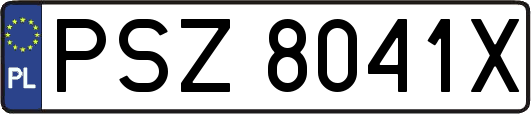 PSZ8041X