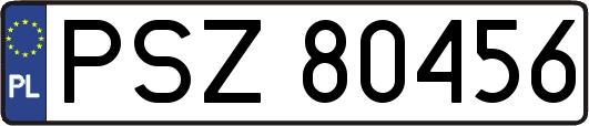 PSZ80456