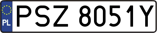 PSZ8051Y