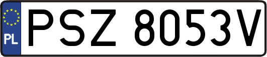 PSZ8053V