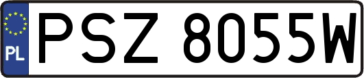 PSZ8055W