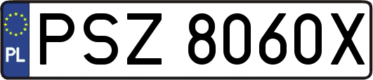 PSZ8060X
