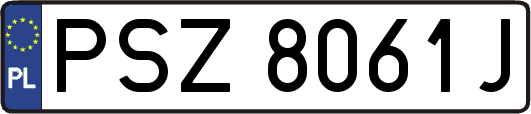 PSZ8061J