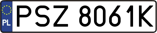 PSZ8061K