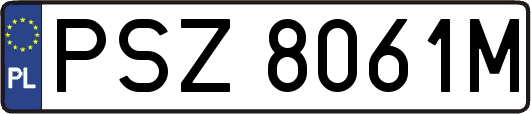 PSZ8061M