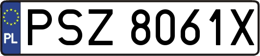 PSZ8061X