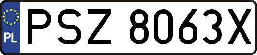 PSZ8063X