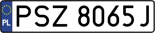 PSZ8065J
