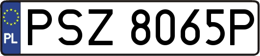 PSZ8065P