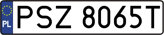 PSZ8065T