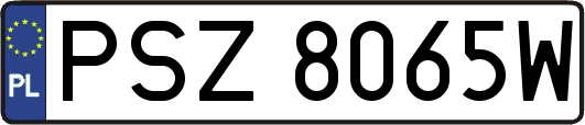 PSZ8065W