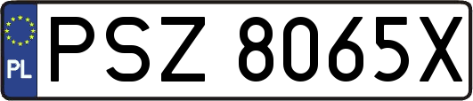 PSZ8065X
