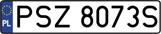 PSZ8073S