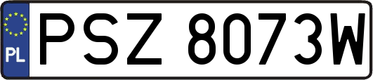 PSZ8073W