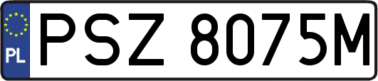 PSZ8075M