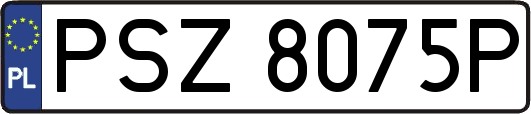 PSZ8075P
