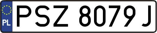 PSZ8079J