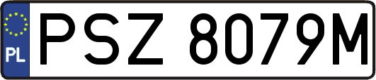 PSZ8079M