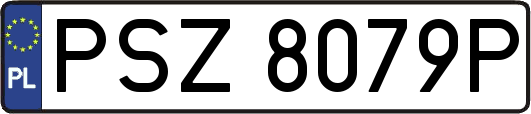 PSZ8079P