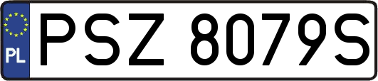 PSZ8079S